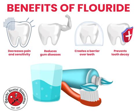 Unveiling the Advantages of Fluoride Treatments