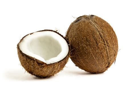 Unveiling the Age and Height of Candy Coconuts