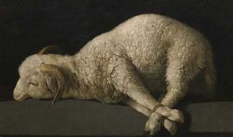 Unveiling the Biblical Lamb: Decoding Its Significance and Symbolism in Reveries 