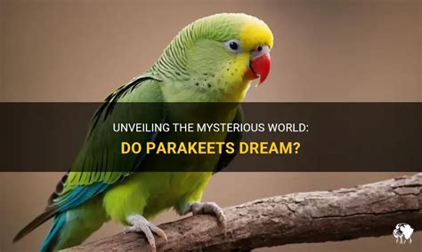 Unveiling the Connection between Parakeet Birds and Freedom in Dream Analysis