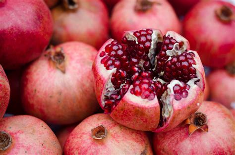 Unveiling the Curative Properties of the Captivating Pomegranate Blossom