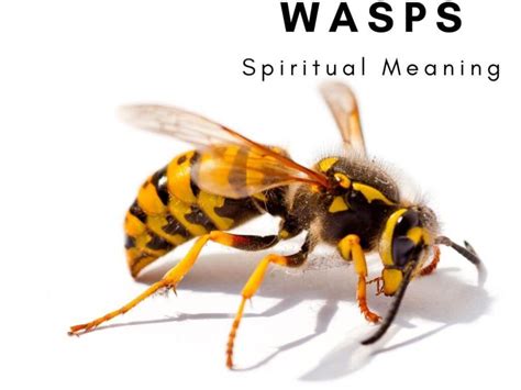 Unveiling the Deeper Significance: Exploring Symbolism behind a Vast Hornet