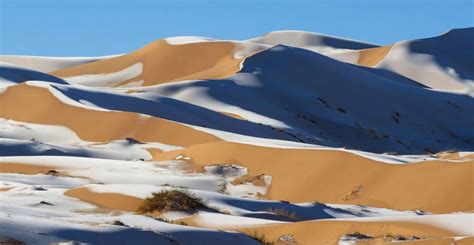 Unveiling the Dream: Witnessing Snowfall in the Desert