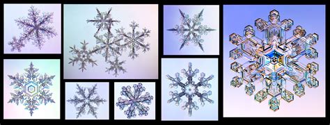 Unveiling the Enchanting Allure of Snow Crystals