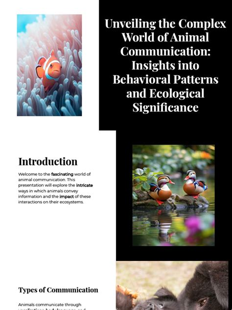 Unveiling the Enigma of Animal Communication: Insights from Research