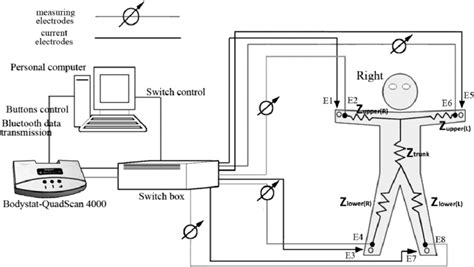 Unveiling the Enigma of Bia Teles' Vertical Measurement