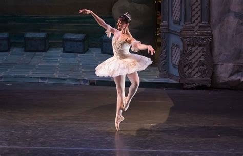 Unveiling the Enigmatic Origins of the Sugar Plum Fairy