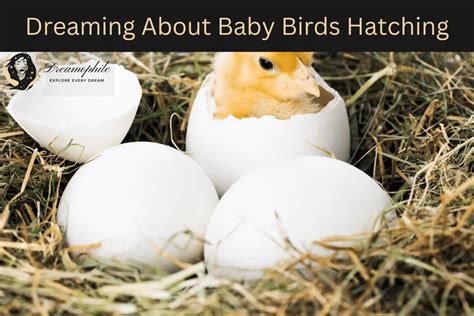 Unveiling the Enigmatic Significations of Bird Hatching Dreams