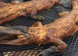 Unveiling the Health Benefits of Crocodile Meat