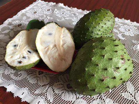 Unveiling the Health Benefits of Soursop: Nature's Remedy for Wellness