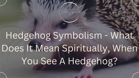 Unveiling the Hedgehog's Symbolic Association with Spirituality