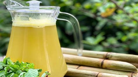 Unveiling the Hidden Benefits of this Irresistible Sweetener: Health Effects of Sugarcane