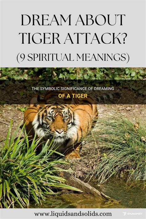 Unveiling the Hidden Messages in Dreaming of a Tiger