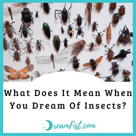 Unveiling the Hidden Significance of Dreams Infested by Insects