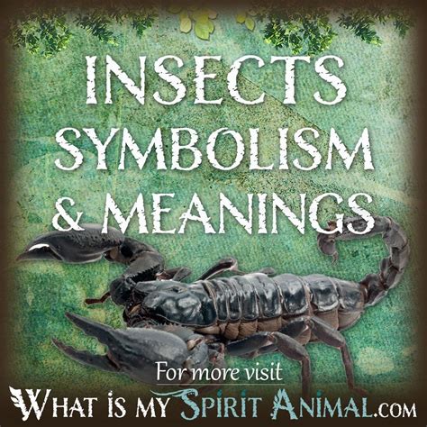 Unveiling the Intricate Significance of Insect-Filled Fantasies