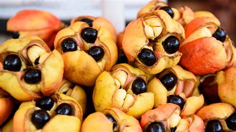 Unveiling the Journey: Exploring the Process of Bringing Ackee to the Table