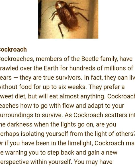 Unveiling the Meaning Behind the Crawlies: Unraveling the Symbolism of Cockroaches