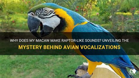 Unveiling the Mysteries Behind Avian Vocalizations