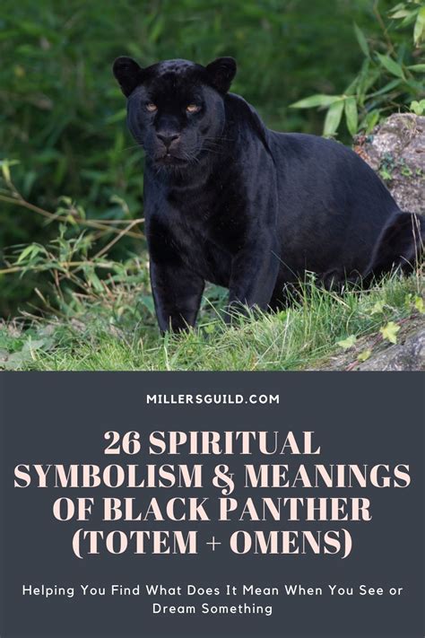 Unveiling the Mystery: Decoding the Symbolism of Dark Bands on an Ivory Panther