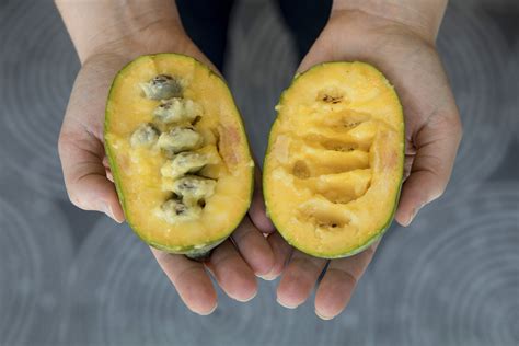 Unveiling the Mystery of Paw Paw Fruit