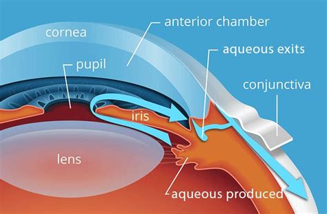 Unveiling the Ominous Signs: Obscure Aqueous Visions and Their Significance