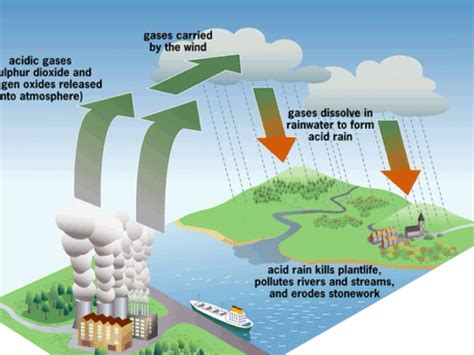 Unveiling the Origins of Acidic Precipitation: Uncovering the Root Causes