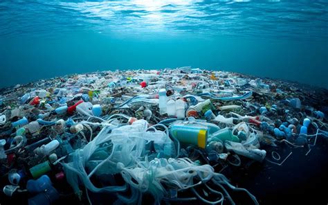 Unveiling the Path of Packaging Waste: Understanding the Journey of Plastic Pollution