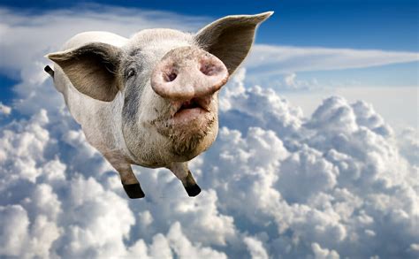 Unveiling the Psychological Significance of Imagining Flying Swine