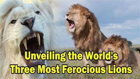 Unveiling the Psychological Significance of Majestic Beasts in the Realm of Dreams