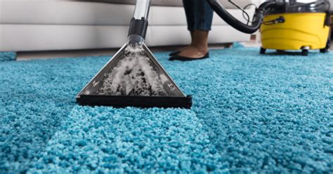 Unveiling the Science Behind Professional Carpet Cleaning Methods