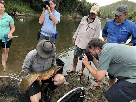 Unveiling the Secrets of River Life