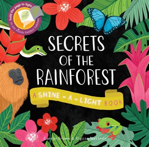 Unveiling the Secrets of the Rainforest