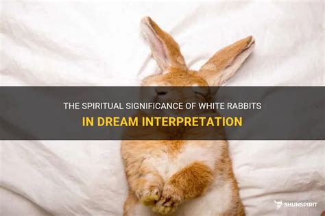 Unveiling the Significance of Bunnies in Dream Analysis