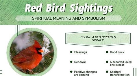 Unveiling the Significance of Cardinal Dream Symbolism