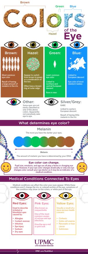 Unveiling the Significance of Melanin: The Essential Pigment in Eye Color Diversity