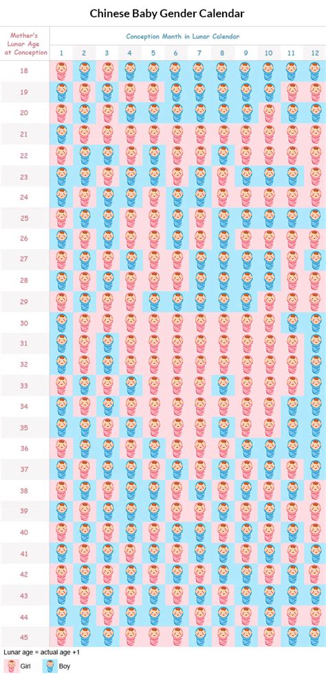 Unveiling the Significance of Predicting the Gender of a Baby
