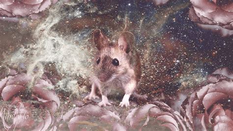 Unveiling the Significance of a Pale Rodent in Dreams