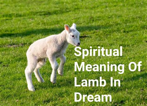 Unveiling the Significance of the Flavors of Lamb in Dreams