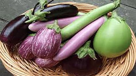 Unveiling the Spiritual Significance of Eggplant