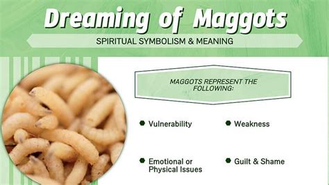 Unveiling the Symbolic Meaning of Maggots in Dreams