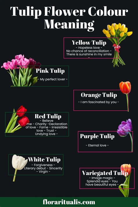 Unveiling the Symbolic Significance and Deep Meaning Behind the Majestic Lavender Tulip