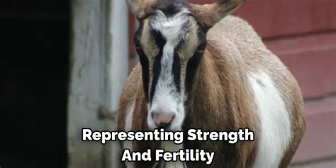 Unveiling the Symbolic Significance of Observing a Fertile She-goat