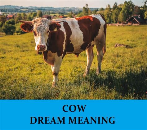 Unveiling the Symbolic Significance of Slaughtering a Bovine in Dreams