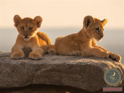 Unveiling the Symbolic Significance of a Lion's Liberation in Dreamscapes