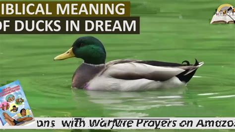 Unveiling the Symbolism: The Significance of Ducks in Dreams