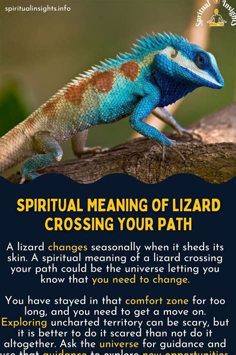 Unveiling the Symbolism of Lizards in Different Cultures