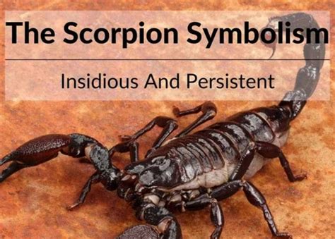 Unveiling the Symbolism of Scorpions in Dreams