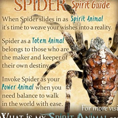 Unveiling the Symbolism of Spider Bites: Deciphering Cryptic Fears and Anxieties