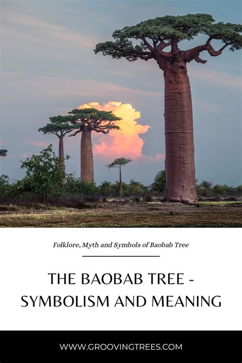 Unveiling the Symbolism of the Enchanting Baobab Tree