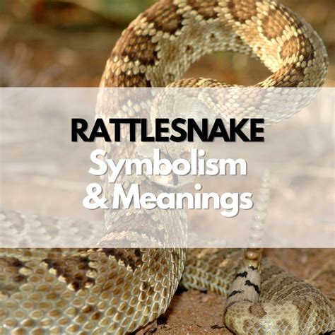 Unveiling the Symbolism of the Rattle Serpent's Appendage